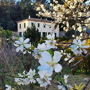 Sa Maniga Country house Bunyola